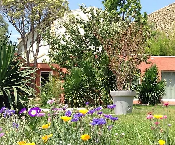 De La Dans Les Oliviers Gallargues-le-Montueux